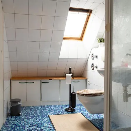 דירה Scheffler *