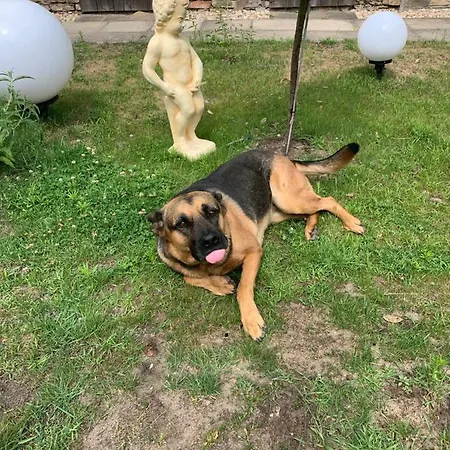 Apartamento Scheffler Potsdam